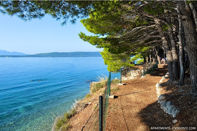 Živogošće Blato plaža Dole